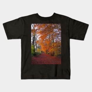 Autumnal Westridge Woods, Cotswolds Kids T-Shirt